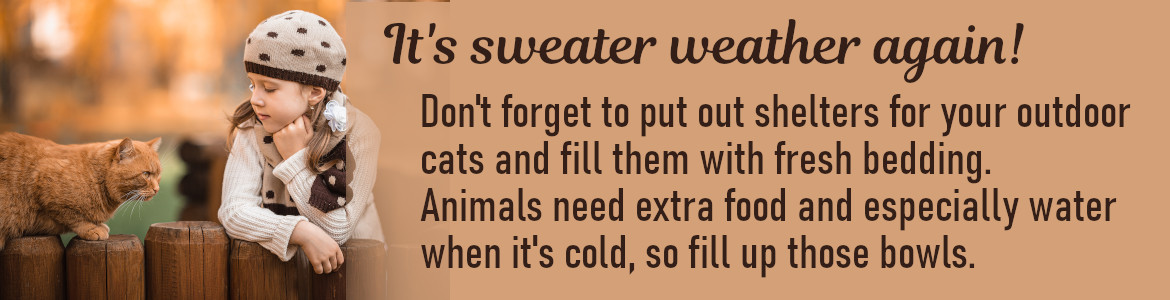 It's sweater weather again! Don't forget to put out the cat shelters and extra food and water for your outdoor cats.